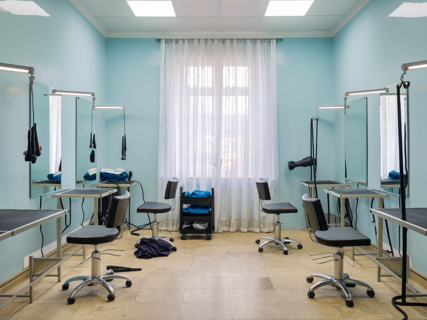 The salon